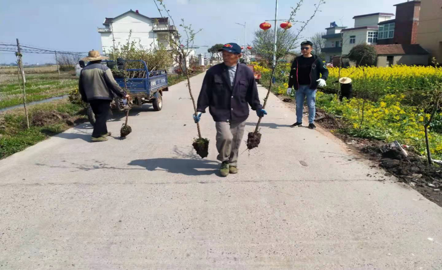 圖片8.png 圖片8.png