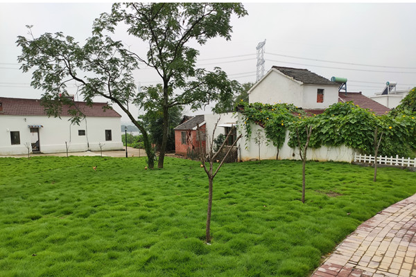 2D630E2C@778E7E5A.6F575160.jpg.jpg 2D630E2C@778E7E5A.6F575160.jpg.jpg