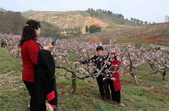 1711933146991.png 1711933146991.png